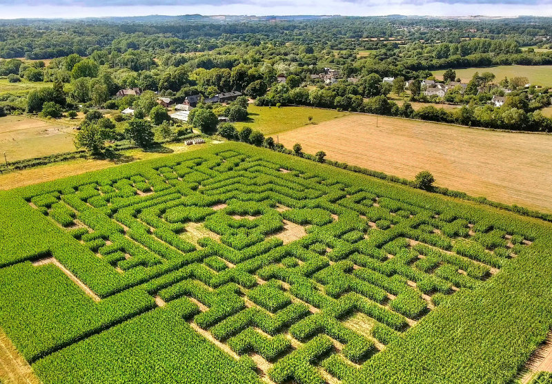 Fordingbridge Maize Maze 2020