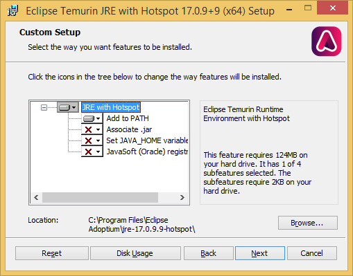 Java setup settings